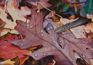 Leaves with Raindrops